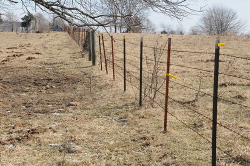 Property photo 153 - 745 Acres Offered in 16 Tracts