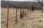 Property photo 116 - 745 Acres Offered in 16 Tracts