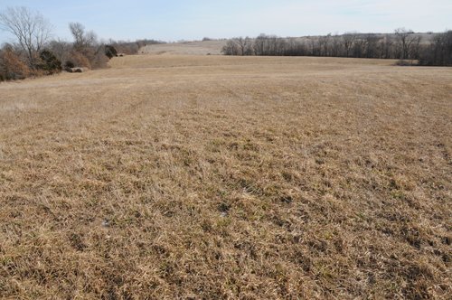 Property photo 73 - 745 Acres Offered in 16 Tracts