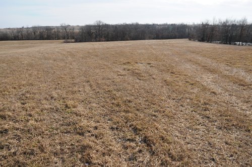 Property photo 86 - 745 Acres Offered in 16 Tracts