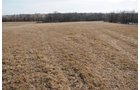 Property photo 86 - 745 Acres Offered in 16 Tracts