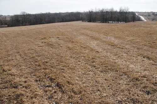 Property photo 6 - 745 Acres Offered in 16 Tracts