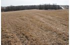 Property photo 6 - 745 Acres Offered in 16 Tracts