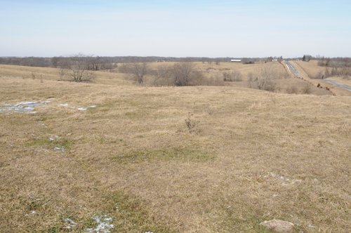 Property photo 43 - 745 Acres Offered in 16 Tracts