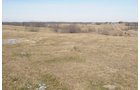 Property photo 43 - 745 Acres Offered in 16 Tracts