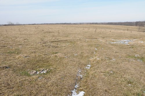 Property photo 123 - 745 Acres Offered in 16 Tracts
