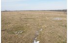 Property photo 123 - 745 Acres Offered in 16 Tracts