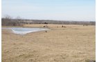 Property photo 7 - 745 Acres Offered in 16 Tracts