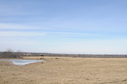 Property photo 8 - 745 Acres Offered in 16 Tracts