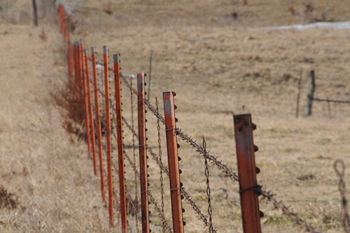 Property photo 194 - 745 Acres Offered in 16 Tracts
