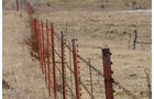 Property photo 194 - 745 Acres Offered in 16 Tracts