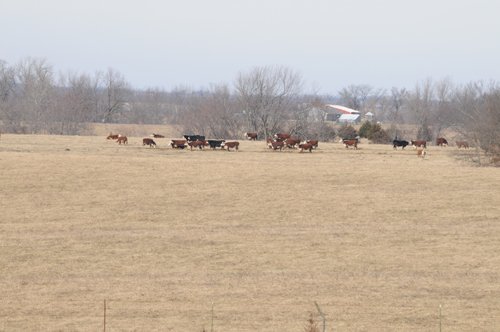 Property photo 72 - 745 Acres Offered in 16 Tracts