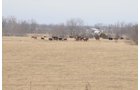 Property photo 72 - 745 Acres Offered in 16 Tracts