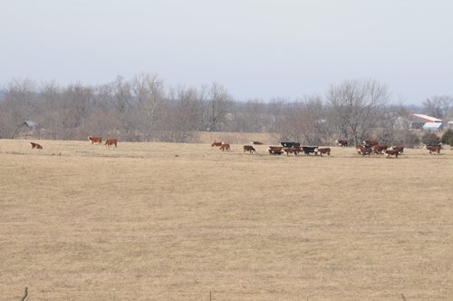 Property photo 102 - 745 Acres Offered in 16 Tracts