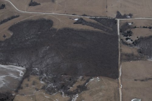 Property photo 84 - 745 Acres Offered in 16 Tracts