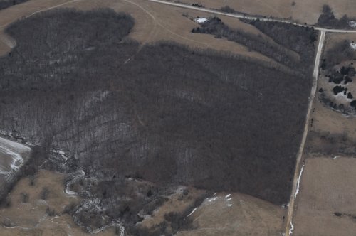 Property photo 197 - 745 Acres Offered in 16 Tracts