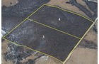 Property photo 133 - 745 Acres Offered in 16 Tracts