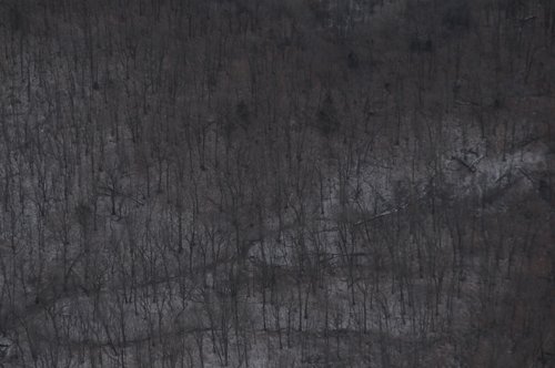 Property photo 58 - 745 Acres Offered in 16 Tracts