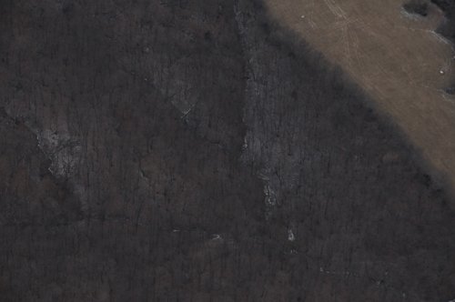 Property photo 105 - 745 Acres Offered in 16 Tracts