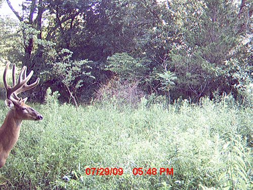 Property photo 23 - 745 Acres Offered in 16 Tracts