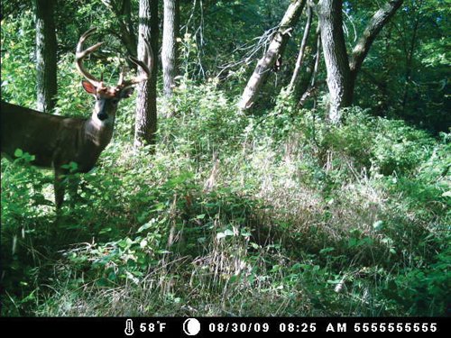 Property photo 27 - 745 Acres Offered in 16 Tracts