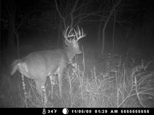 Property photo 21 - 745 Acres Offered in 16 Tracts