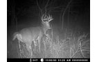 Property photo 21 - 745 Acres Offered in 16 Tracts