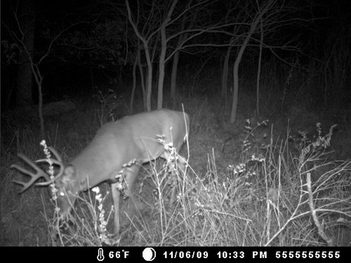 Property photo 154 - 745 Acres Offered in 16 Tracts