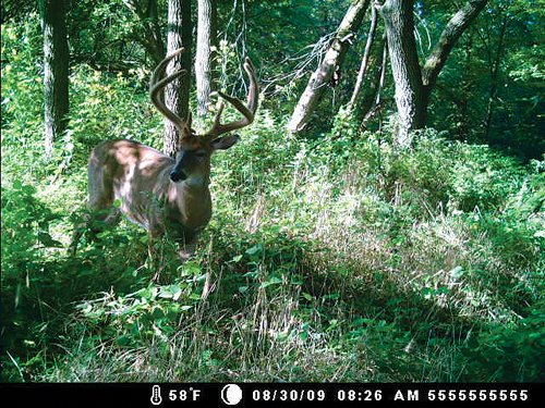 Property photo 2 - 745 Acres Offered in 16 Tracts