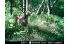 Property photo 2 - 745 Acres Offered in 16 Tracts