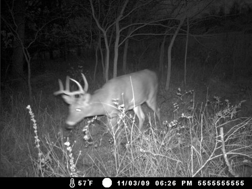 Property photo 63 - 745 Acres Offered in 16 Tracts