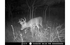 Property photo 63 - 745 Acres Offered in 16 Tracts
