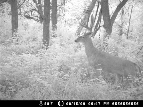 Property photo 144 - 745 Acres Offered in 16 Tracts
