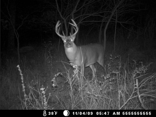 Property photo 35 - 745 Acres Offered in 16 Tracts