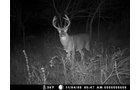 Property photo 35 - 745 Acres Offered in 16 Tracts