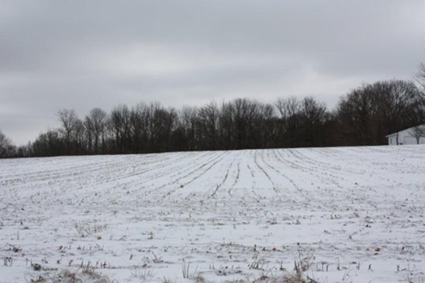 491 Acres Offered in 17 Tracts