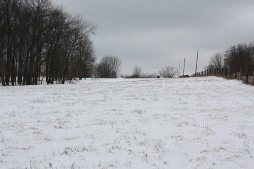 Property photo 15 - 491 Acres Offered in 17 Tracts
