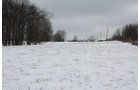 Property photo 15 - 491 Acres Offered in 17 Tracts