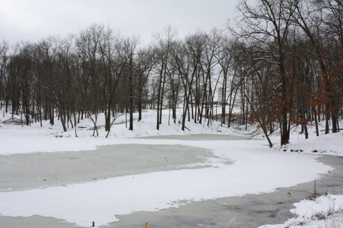 Property photo 10 - 491 Acres Offered in 17 Tracts
