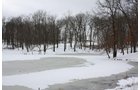 Property photo 10 - 491 Acres Offered in 17 Tracts