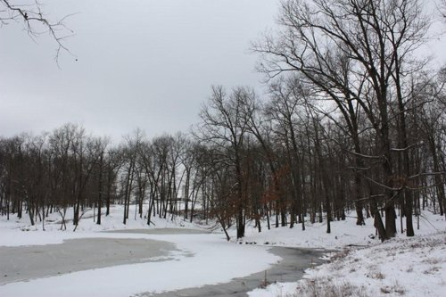 Property photo 11 - 491 Acres Offered in 17 Tracts