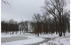 Property photo 11 - 491 Acres Offered in 17 Tracts