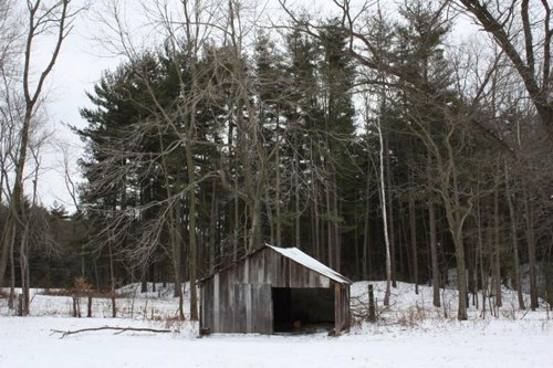 Property photo 1 - 491 Acres Offered in 17 Tracts