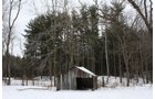 Property photo 1 - 491 Acres Offered in 17 Tracts