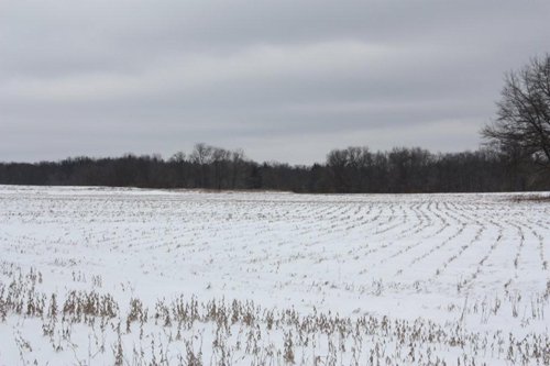 Property photo 12 - 491 Acres Offered in 17 Tracts