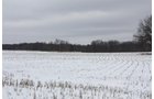 Property photo 12 - 491 Acres Offered in 17 Tracts