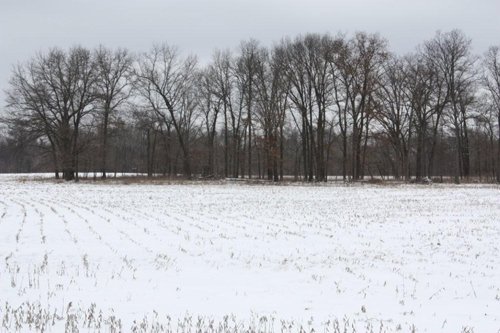 Property photo 13 - 491 Acres Offered in 17 Tracts