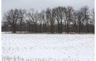 Property photo 13 - 491 Acres Offered in 17 Tracts