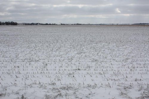 Property photo 6 - 491 Acres Offered in 17 Tracts