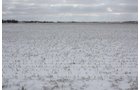 Property photo 6 - 491 Acres Offered in 17 Tracts